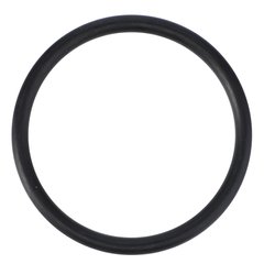 Уплотнительное кольцо (V614604740)