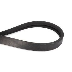 Пас приводу вала подрібнювача D41978100 AGCO Parts